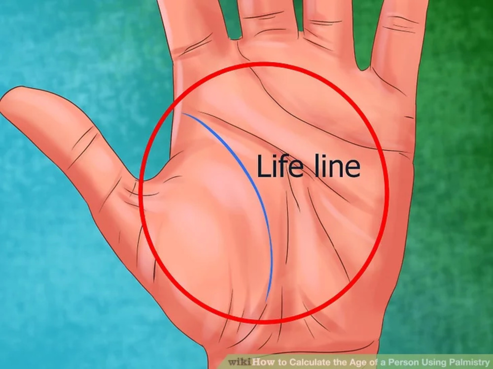 Life Line In Palm Of Hand